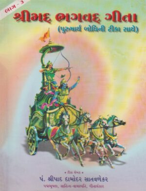 પુરુષાર્થ બોધીની ભાષા ટીકા - ભાગ ૧, ૨, ૩-Purushartha Bodhini Bhasha Tika (Volume-1, 2, 3)